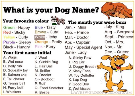 Maybe you would like to learn more about one of these? Daveswordsofwisdom.com: What's your DOG name?