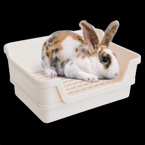 Hoppscotchbun Bumbox Large Rabbit Litter Box W Plastic Grid Etsy