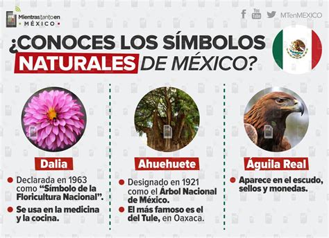 Los Tres Símbolos Naturales Que Forman Parte De La Identidad De México