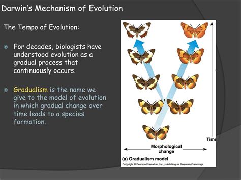 Ppt Biology 131 Theory Of Natural Selection Powerpoint Presentation