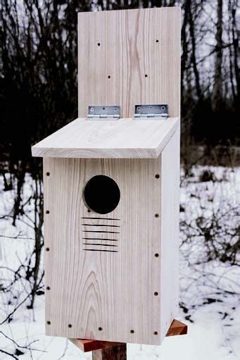 These diminutive owls are about 9 inches tall with. screech owl nest box 7 | Bird house kits, Bird houses ...