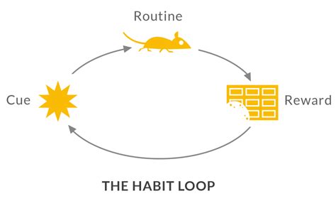Mastering The Power Of Habits Cooler Insights
