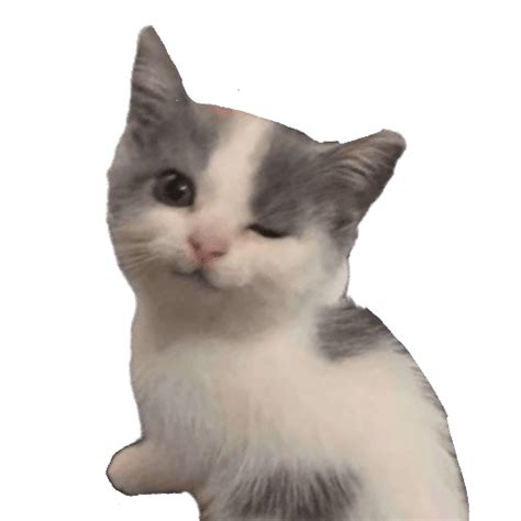 Crying Cat Meme Cursor Png File