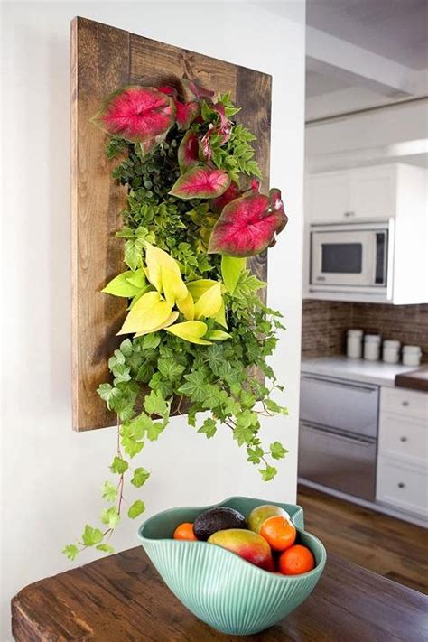 Creating A Vertical Garden For Small Spaces Au