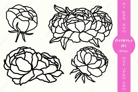 Floral Border Svg With Peonies Flowers Svg Flower Border Peony And