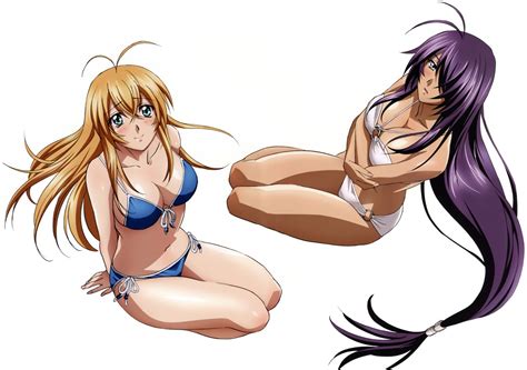 Ikkitousen Kanu Unchou Sonsaku Hakufu Bikini Cleavage Swimsuits