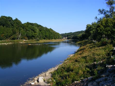 Filethames River Springbank Park Wikimedia Commons