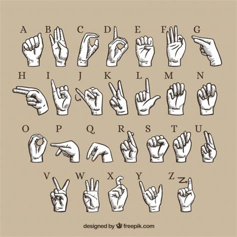 Premium Vector Hand Gesture Language Alphabet Sign Language Art