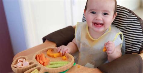 Baby Led Weaning Qu Es Y C Mo Iniciarse
