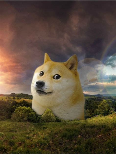 Free Download Friend Of Mine Asked Me To Make Him A Doge Wallpaper Little Does He 3370x1909