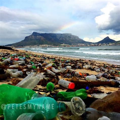 Cape Town Beach Covered In Trash The Organic Gypsy