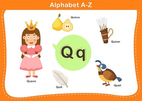 Premium Vector Alphabet Letter Q Illustration