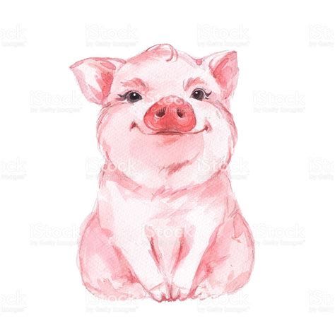 The Pig Is Sitting And Looking At The Camera Painted In Watercolor On