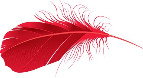 Vector Feather Png Transparent Image Png Mart