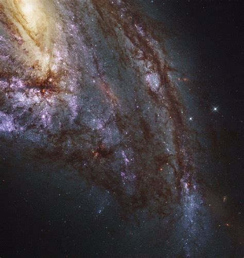 hubble completes the most complete ultraviolet light survey of nearby galaxies and the photos