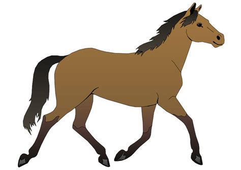 Meer foto's haan of paard. Afbeelding paard. Gratis afbeeldingen om te printen.