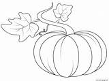 Leaves Coloring Fall Pumpkin Pages Printable sketch template
