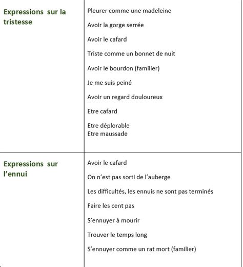 Apprenons Le Fran Ais Liste D Expressions Pour Exprimer La Joie La