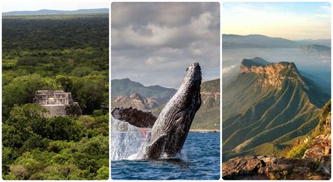 5 Reservas De La Biosfera En México Para Enamorarte De Sus Maravillas