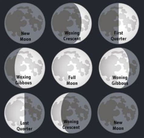 Phases Of The Moon Middle School Science Lab Lesson Plan Owlcation
