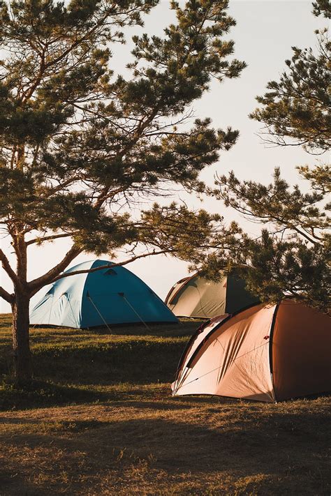 Camping Tents Trees Rest Hd Phone Wallpaper Peakpx