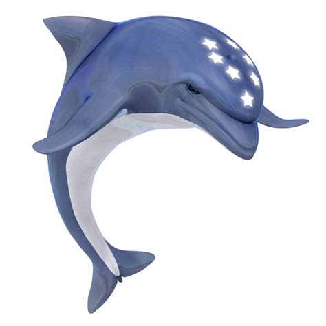 Dolphin Png Transparent Image Download Size 894x894px