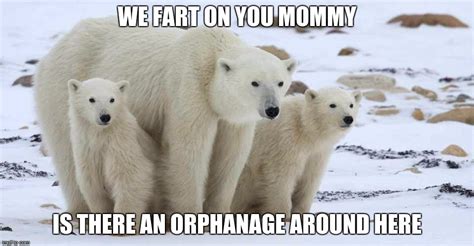 Image Tagged In Polar Bears Imgflip