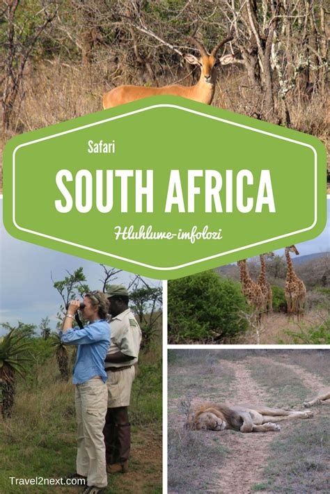 hluhluwe imfolozi park safari in southern africa south africa travel africa travel africa