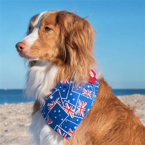 When you order $25.00 of eligible items sold or fulfilled by amazon. Tips for a Dog-Friendly Australia Day! | Australian Dog Lover