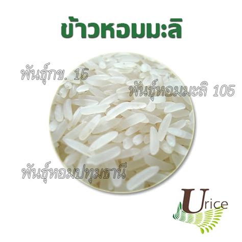 We did not find results for: ข้าวมีกี่ชนิด? - โกดังข้าวสารอุดมพืชผล ร้านขายข้าวสารราคา ...