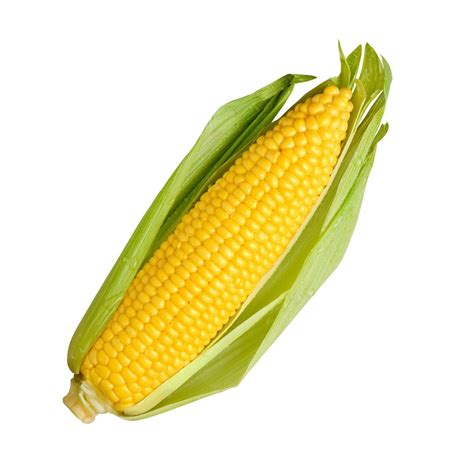 Sweet Corn Labidino