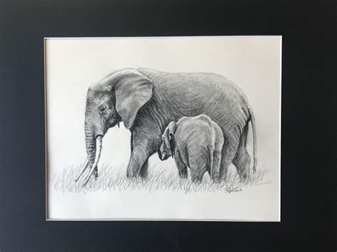 Werner Rentsch Nra 2019 Elephant And Baby 2022