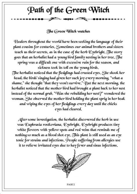 A complete book of shadows contain a lot of information on that. Path of the Green Witch 2 | Green witch, Witch, Hedge witch