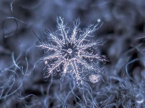 Stunning Macro Details Of Uniquely Beautiful Snowflakes With An