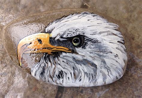 Hand Painted Eagle Head By Christine Purdy Painted Rocks Hand