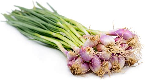 Thai Shallots Information And Facts