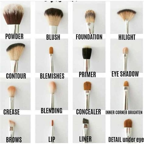 Eye Makeup Brushes Guide Face Makeup Tips Face Makeup Tutorial