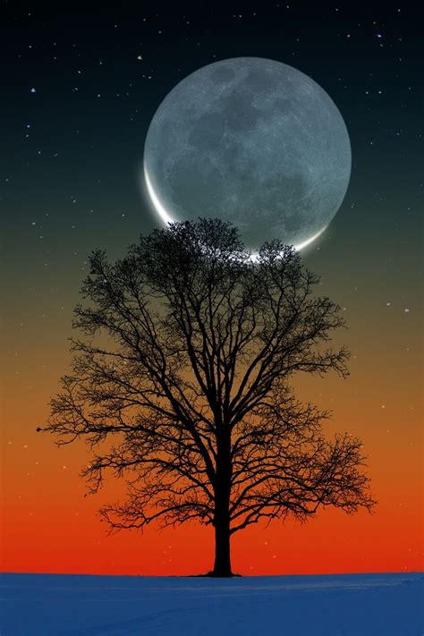 Sunset Crescent Moon By Larry Landolfi Beautiful Moon Nature Moon