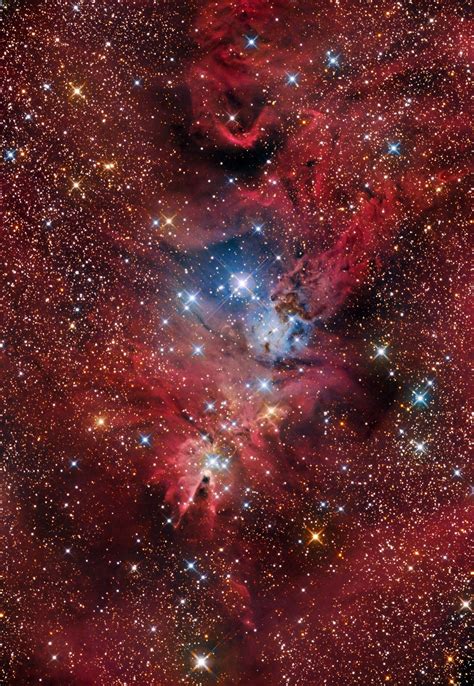 Billions And Billions Ngc 2264 Christmas Tree Cluster And Cone
