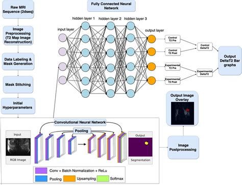 scheme of deep learning algorithm and associated preprocessing and download scientific diagram