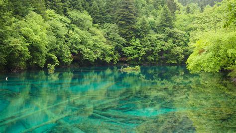 Five Flower Lake Of Jiuzhaigou National Park Sihuan Provine China