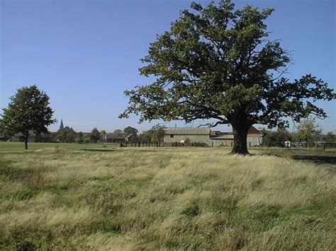 Ergebnisse auf der karte ansehen. Landschaft