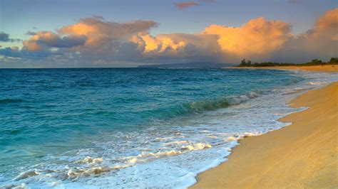 Beaches See The Most Beautiful Hawaii Beaches Hd Blu Ray