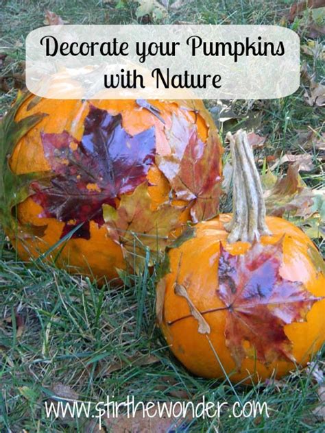 Decorate Your Pumpkins With Nature Stir The Wonder