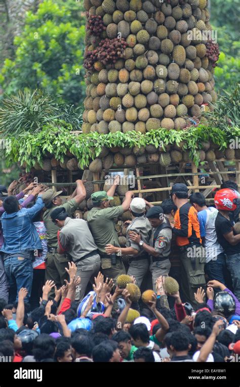 Jombang Indonesia 382014 Thousands Of People Scrambling Durian At