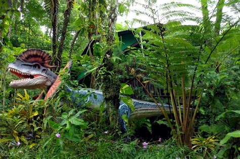 Dino Park Yanbaru Subtropical Forest Ticket In Okinawa Klook Us