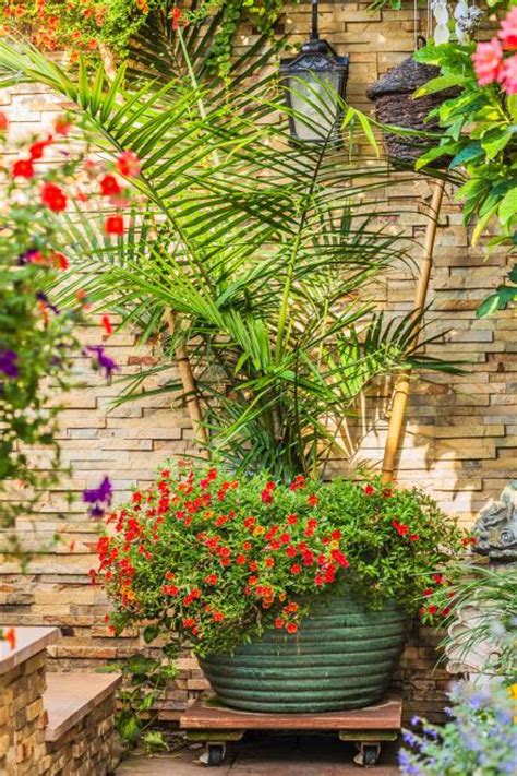 Container Gardens With Pizzazz Midwest Living