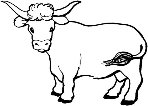 Coloring Pages Of A Herd Of Cows Coloring Home