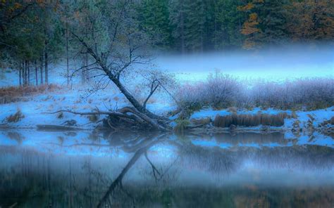 Landscape River Fog Forest Trees Reflection