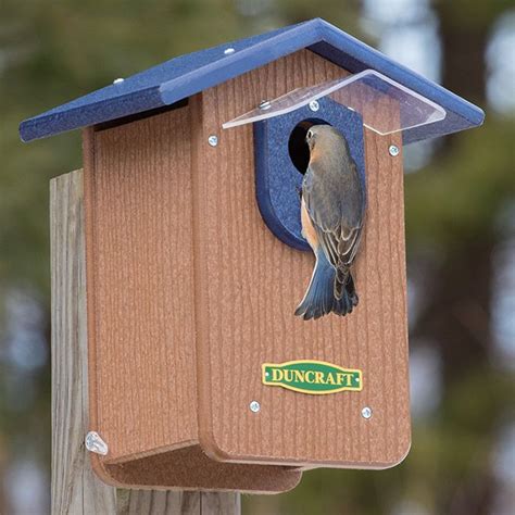 Bluebird House With Predator Guard And Weather Shield